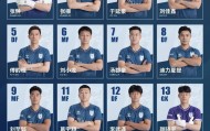 ng体育-大连可为名单公布   张翀领衔